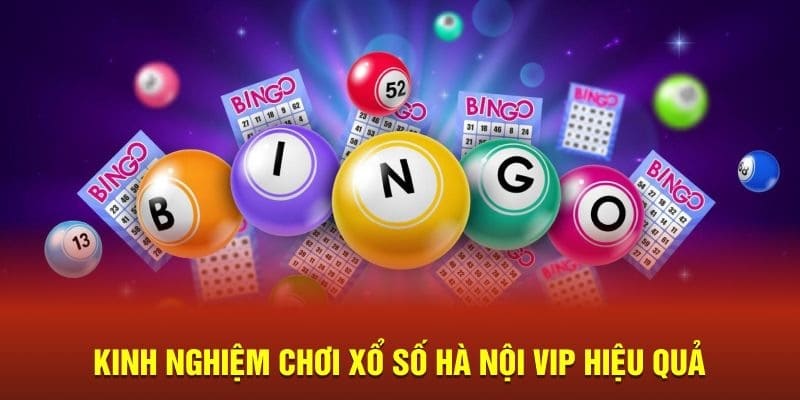 Xổ Số Hà Nội Vip Và Quy Tắc Cược Số Cơ Bản Cho Tay Mơ 4 3 bí quyết chơi xổ số Hà Nội Vip bất bại